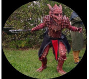 Dragon armour set