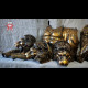 Antique Lion full set
