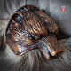 Antique Bear shoulders