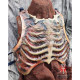 Bone breastplate