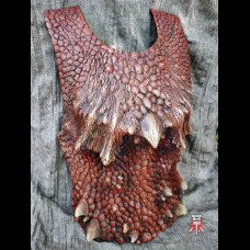 Dragon breastplate