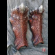 Dragon legs