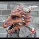 Dragon full set