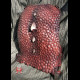 Dragon backplate