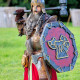 Dwarf full set