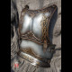 Warrior backplate