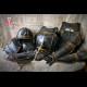 Guardian full set