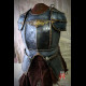 Guardian shoulders