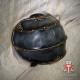 Guardian shoulders