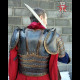Hussar shoulders
