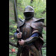 Italian Knight shoulders
