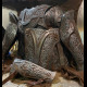 Northman bracers