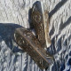 Northman bracers