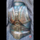 Paladin backplate