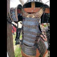 Samurai backplate