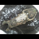 Scull legs armor