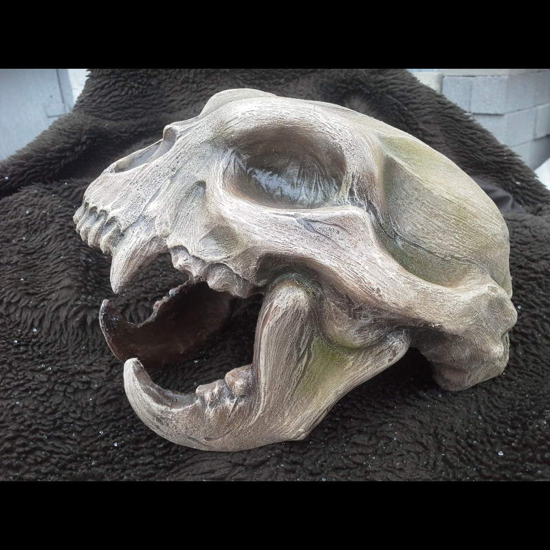 Scull jaguar helmet