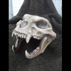 Scull jaguar helmet