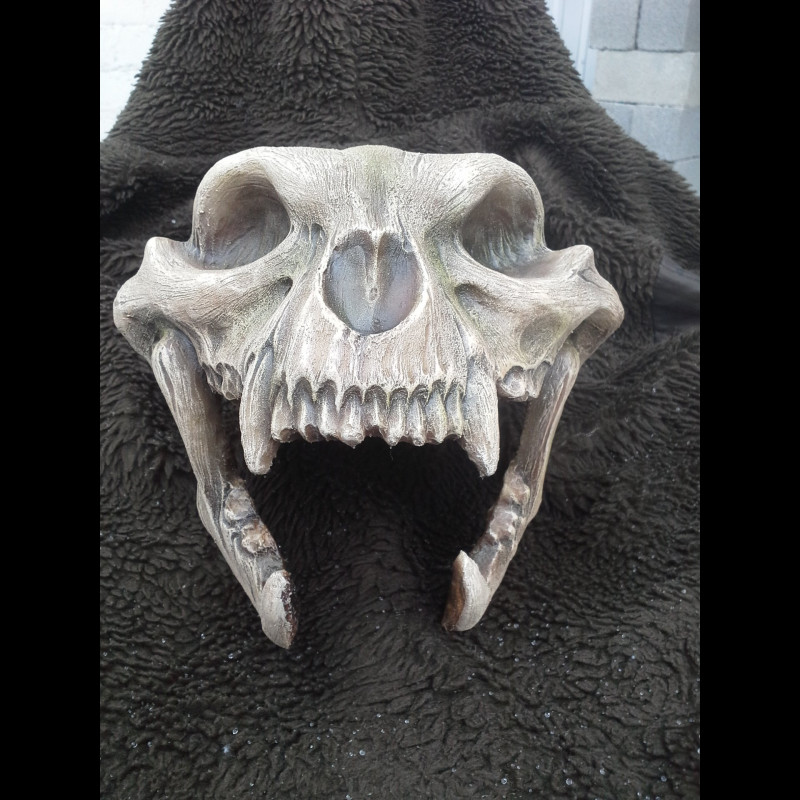 Scull jaguar helmet