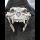 Scull jaguar helmet