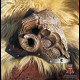 Goat scull shoulders