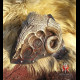 Goat scull shoulders