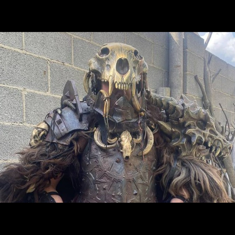 Scull bear helmet
