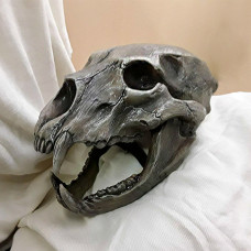 Scull bear helmet