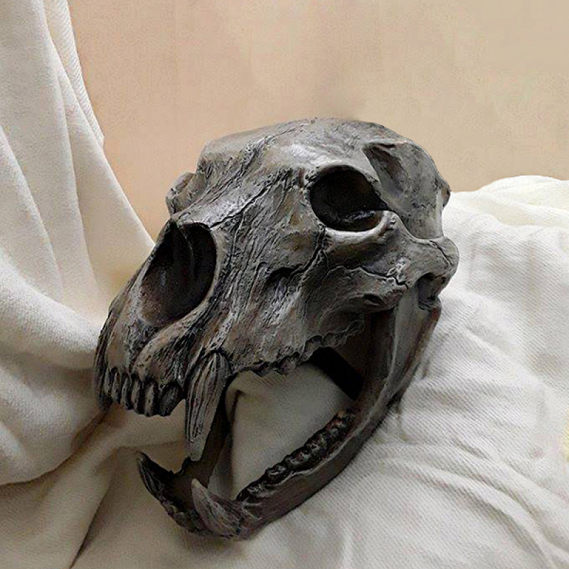 Scull bear helmet